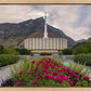 Provo Temple First Light