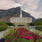 Provo Temple First Light