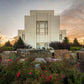 Twin Falls Temple Garden Of Eden