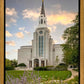 Boston Temple Summer Evening