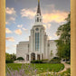 Boston Temple Summer Evening
