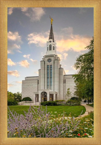 Boston Temple Summer Evening