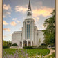 Boston Temple Summer Evening