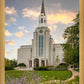Boston Temple Summer Evening