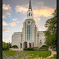 Boston Temple Summer Evening