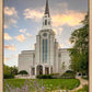 Boston Temple Summer Evening
