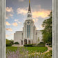 Boston Temple Summer Evening