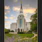 Boston Temple Summer Evening