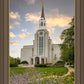 Boston Temple Summer Evening