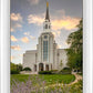 Boston Temple Summer Evening
