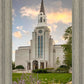 Boston Temple Summer Evening