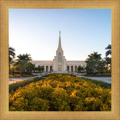 Fort Lauderdale Golden Hour