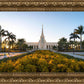Fort Lauderdale Golden Hour