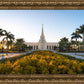 Fort Lauderdale Golden Hour