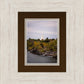 Idaho Falls Temple Colorful Snake River