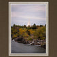 Idaho Falls Temple Colorful Snake River