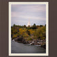 Idaho Falls Temple Colorful Snake River