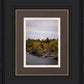 Idaho Falls Temple Colorful Snake River
