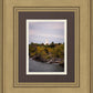 Idaho Falls Temple Colorful Snake River