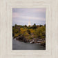 Idaho Falls Temple Colorful Snake River