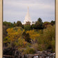 Idaho Falls Temple Colorful Snake River