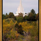 Idaho Falls Temple Colorful Snake River
