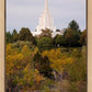 Idaho Falls Temple Colorful Snake River