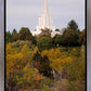 Idaho Falls Temple Colorful Snake River