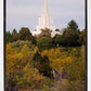 Idaho Falls Temple Colorful Snake River