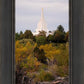 Idaho Falls Temple Colorful Snake River