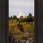 Idaho Falls Temple Colorful Snake River