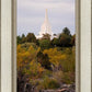 Idaho Falls Temple Colorful Snake River