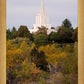 Idaho Falls Temple Colorful Snake River
