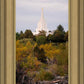 Idaho Falls Temple Colorful Snake River