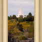 Idaho Falls Temple Colorful Snake River