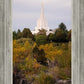 Idaho Falls Temple Colorful Snake River