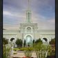 Mount Timpanogos Temple Morning Garden