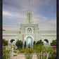 Mount Timpanogos Temple Morning Garden