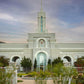 Mount Timpanogos Temple Morning Garden