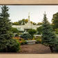 St Paul Temple Sacred Garden