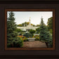 St Paul Temple Sacred Garden