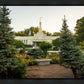 St Paul Temple Sacred Garden