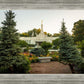 St Paul Temple Sacred Garden