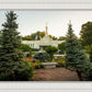 St Paul Temple Sacred Garden