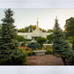 St Paul Temple Sacred Garden