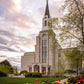 Boston Temple Spring Tulips