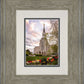 Boston Temple Spring Tulips