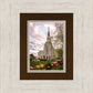 Boston Temple Spring Tulips