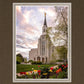 Boston Temple Spring Tulips