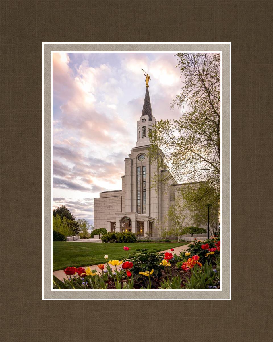 Boston Temple Spring Tulips